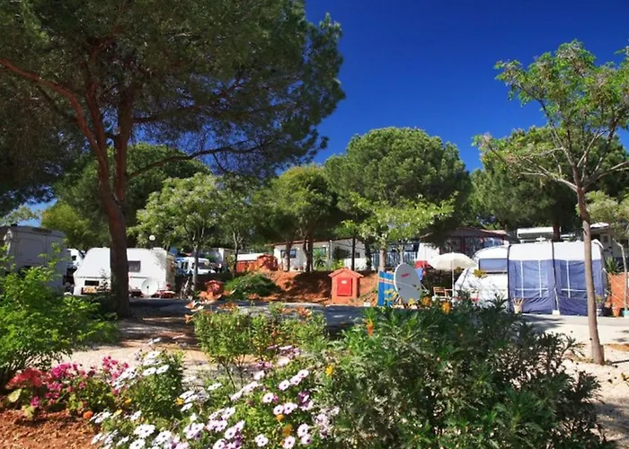 Campingplatz Mobil-home 6 Pers, Terrasse A - Api-1-52-1925 *